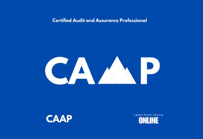 Detail Image for CAAP (Certified Audit and Assurance Professional)