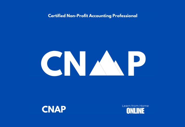 Detail Image for CNAP (Certified Non-Profit Accounting Professional)